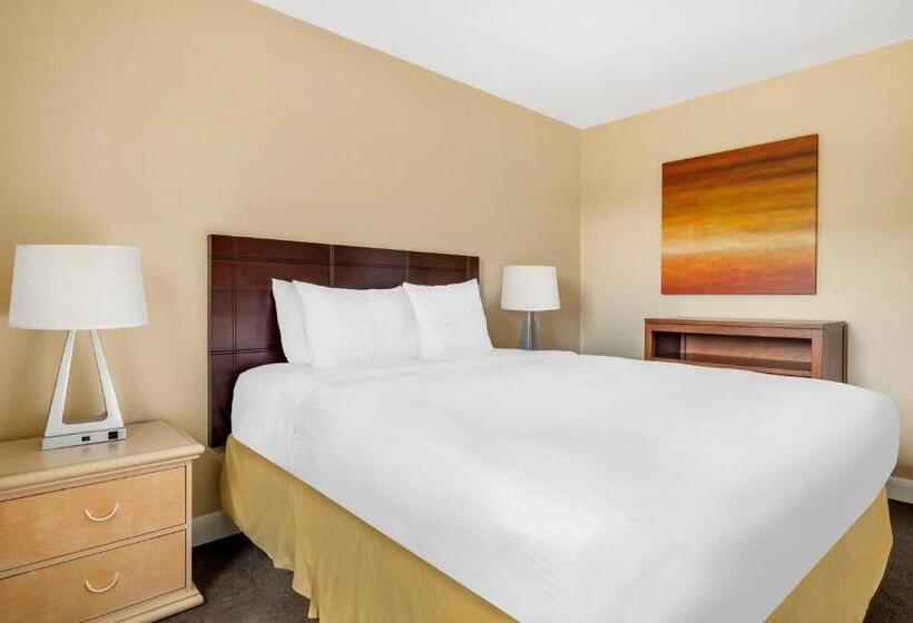 ２ベッドスイートルーム, Hilton Vacation Club Palm Canyon Palm Springs