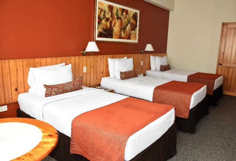 스탠다드 트리플 룸, Qorianka