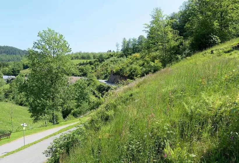 اتاق استاندارد با بالکن, Gasthof Blume