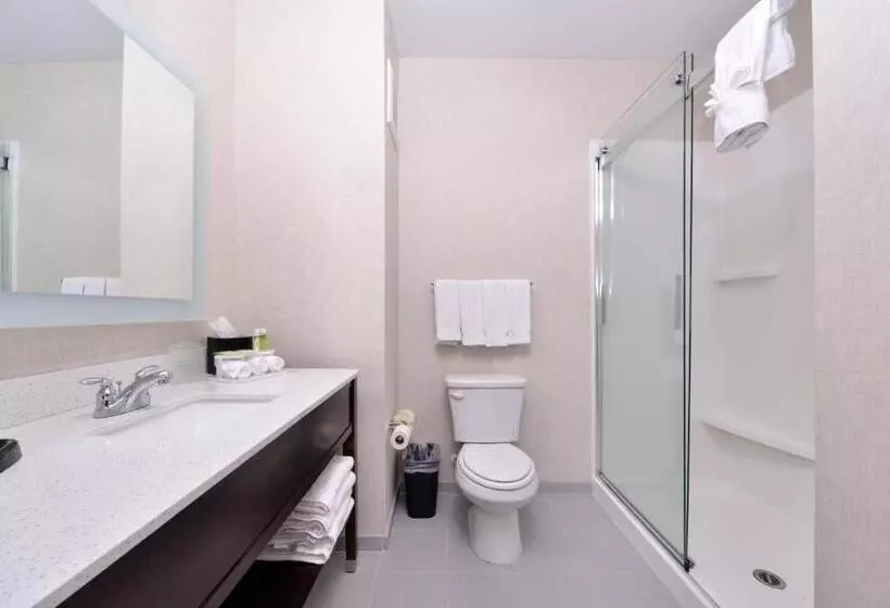 キングサイズベッドのスタンダードルーム, Holiday Inn Express Hotels & Suites Loma Linda, An Ihg