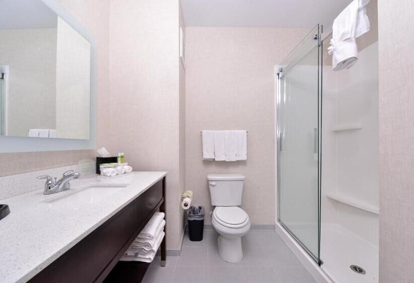 Люкс, Holiday Inn Express Hotels & Suites Loma Linda, An Ihg
