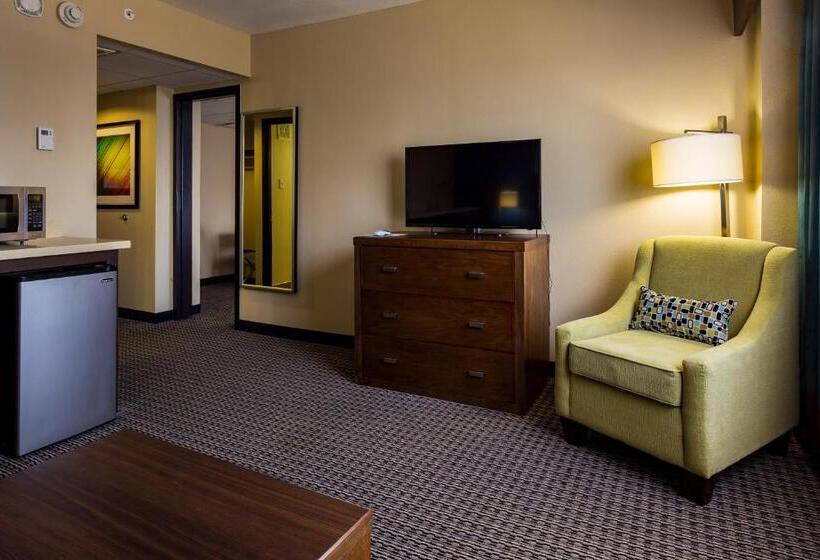 수피리어 룸, Holiday Inn Houston Downtown, An Ihg