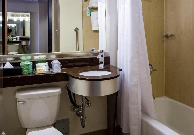 스탠다드 룸, Holiday Inn Houston Downtown, An Ihg