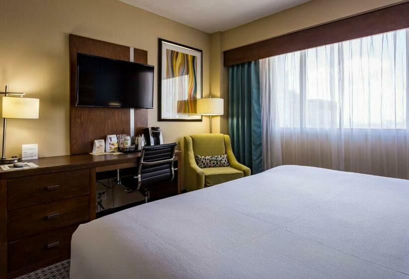 비즈니스룸, Holiday Inn Houston Downtown, An Ihg