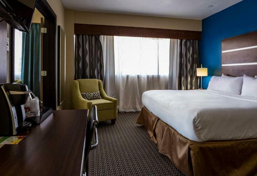 비즈니스룸, Holiday Inn Houston Downtown, An Ihg