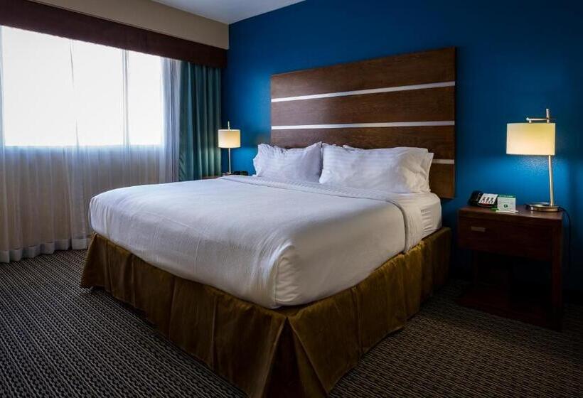 비즈니스룸, Holiday Inn Houston Downtown, An Ihg