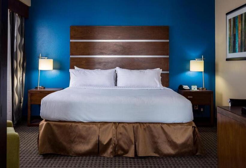 수피리어 룸, Holiday Inn Houston Downtown, An Ihg