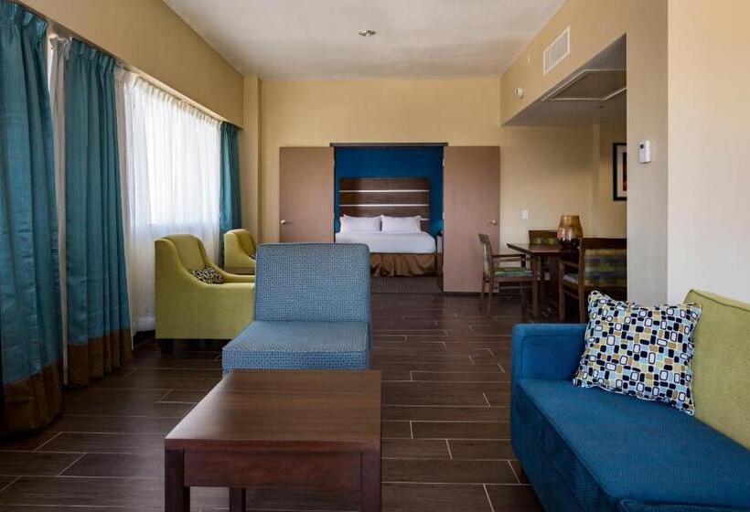 수피리어 룸, Holiday Inn Houston Downtown, An Ihg