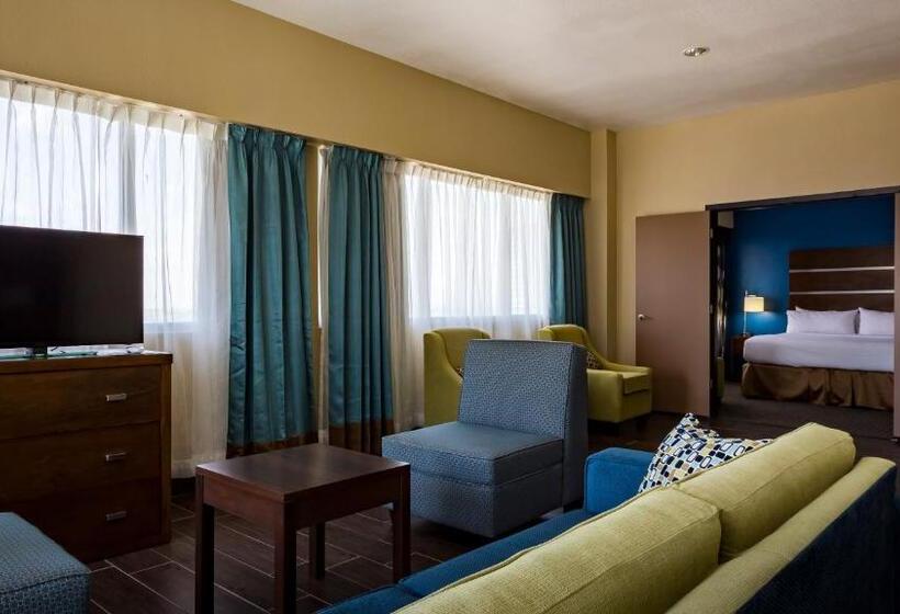 수피리어 룸, Holiday Inn Houston Downtown, An Ihg