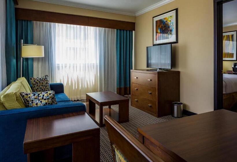 Номер Superior, Holiday Inn Houston Downtown, An Ihg