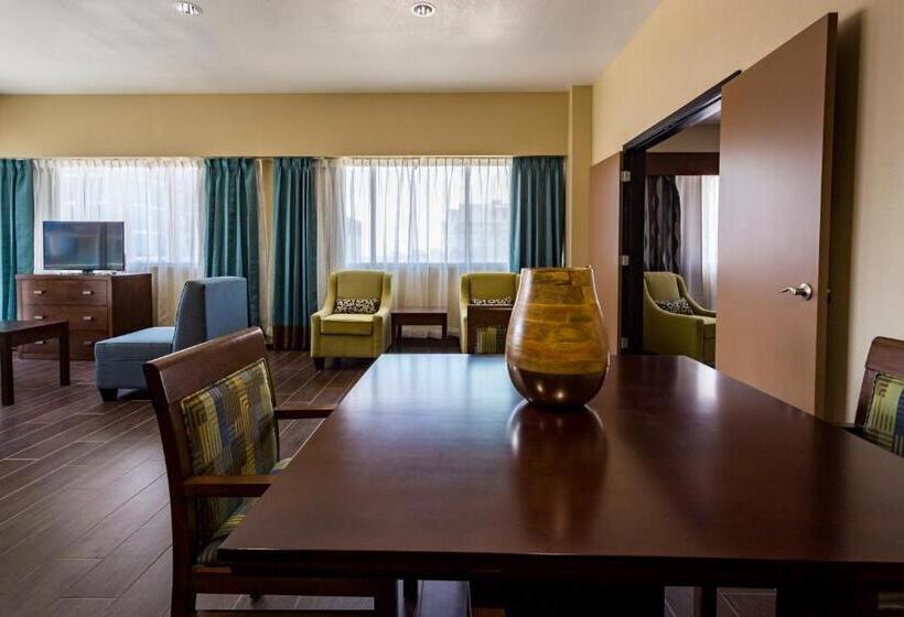 수피리어 룸, Holiday Inn Houston Downtown, An Ihg