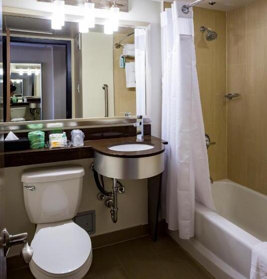 스탠다드 룸 킹사이즈 침대, Holiday Inn Houston Downtown, An Ihg