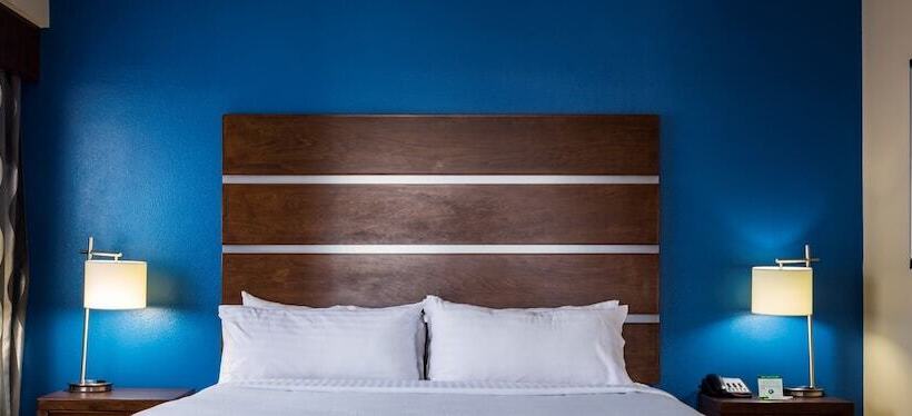 스탠다드 룸, Holiday Inn Houston Downtown, An Ihg