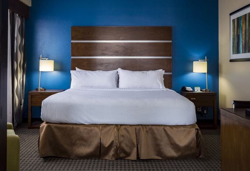 스탠다드 룸, Holiday Inn Houston Downtown, An Ihg