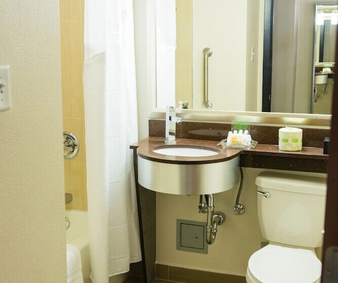 스탠다드 룸 더블 침대 2개, Holiday Inn Houston Downtown, An Ihg