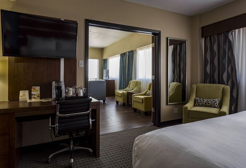 장애인을 위한 스위트, Holiday Inn Houston Downtown, An Ihg