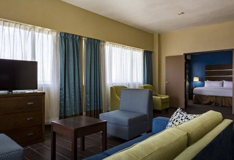 장애인을 위한 스위트, Holiday Inn Houston Downtown, An Ihg