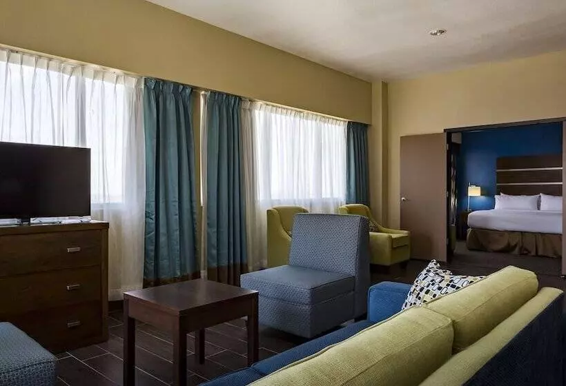 身障者適用スイートルーム, Holiday Inn Houston Downtown, An Ihg