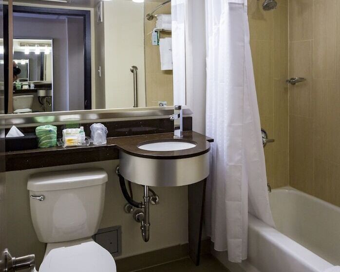 Люкс Адаптированный для Инвалидов, Holiday Inn Houston Downtown, An Ihg