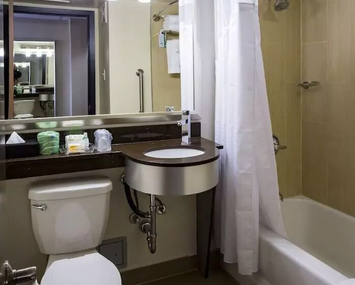 身障者適用スイートルーム, Holiday Inn Houston Downtown, An Ihg