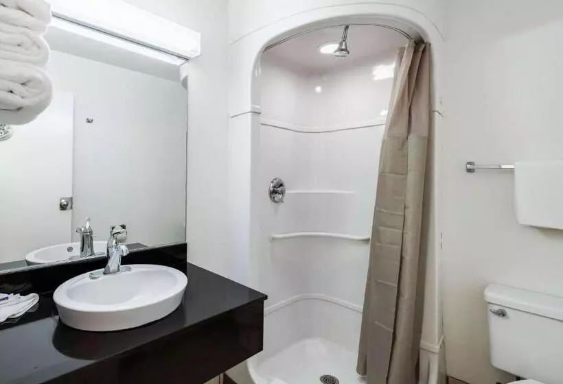 デラックスの4人部屋, Motel 6 Greenville, Tx