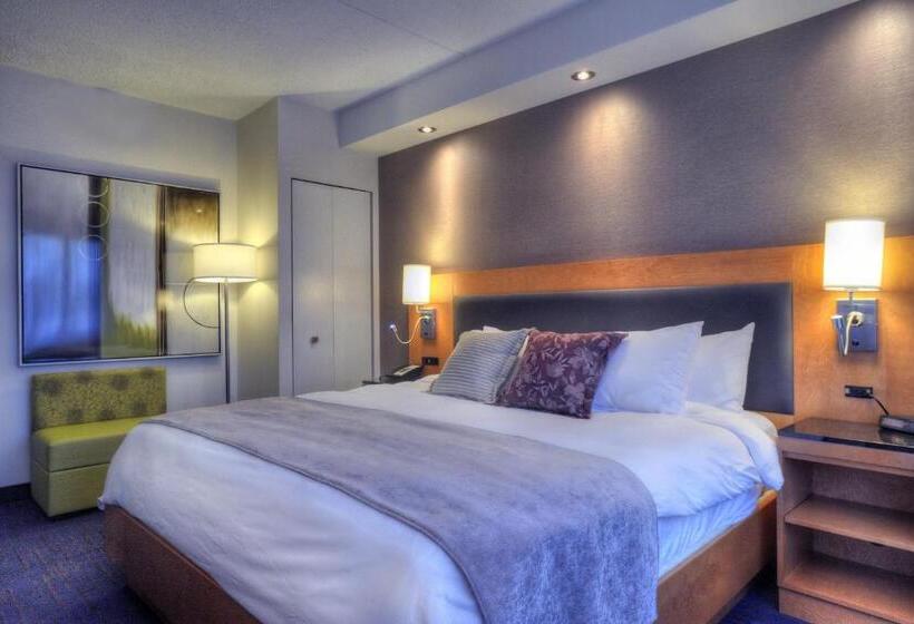 キングサイズベッドのスタンダードルーム, Forestel