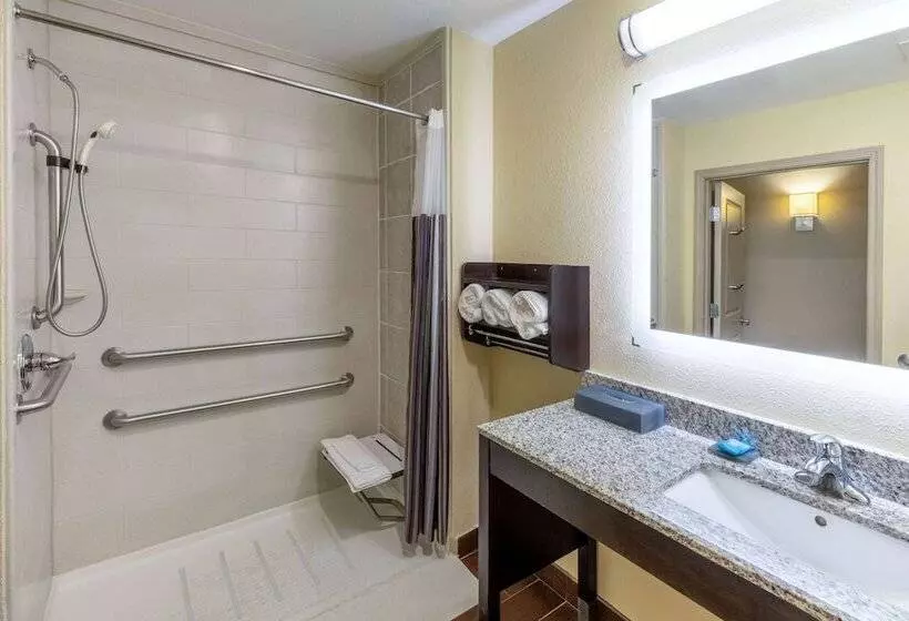 身障者適用スタンダードルーム, La Quinta Inn & Suites By Wyndham Durant