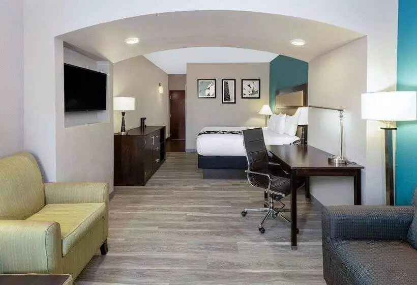 身障者適用スタンダードルーム, La Quinta Inn & Suites By Wyndham Durant