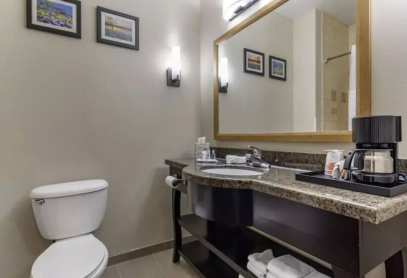 スタンダードルーム, La Quinta Inn & Suites By Wyndham Durant