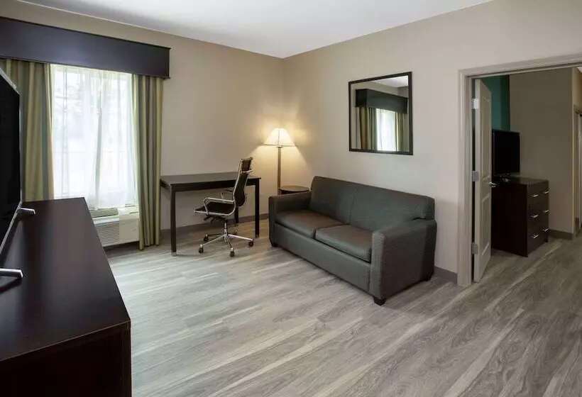 スタンダードルーム, La Quinta Inn & Suites By Wyndham Durant