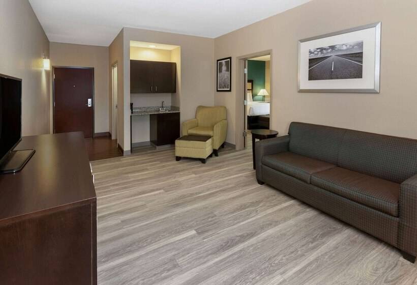 غرفة قياسية, La Quinta Inn & Suites By Wyndham Durant