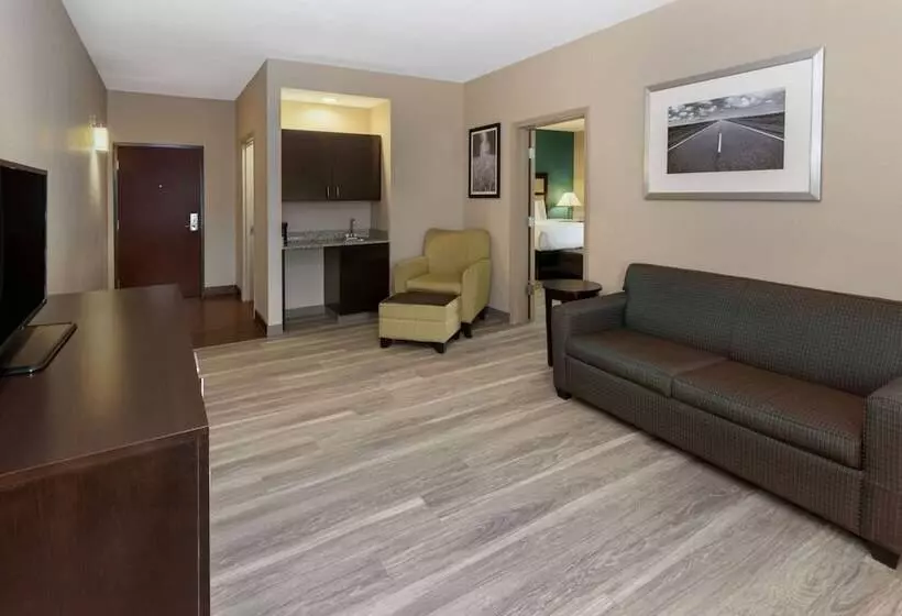 スタンダードルーム, La Quinta Inn & Suites By Wyndham Durant