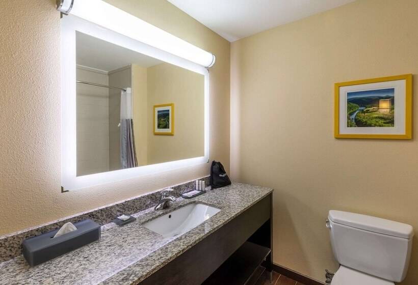 Номер Стандарт, La Quinta Inn & Suites By Wyndham Durant
