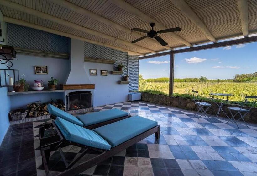 سوئیت با چشم‌انداز, Narbona Wine Lodge