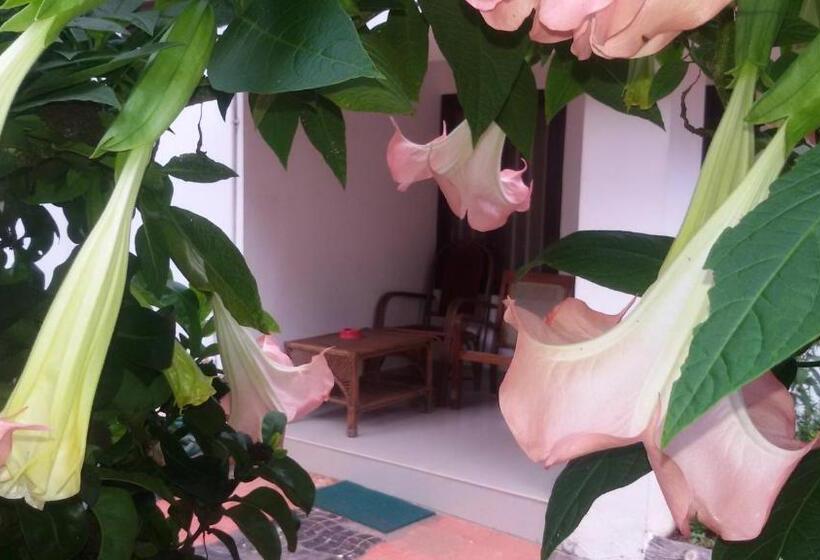 اتاق لوکس, Raja Park Beach Resort