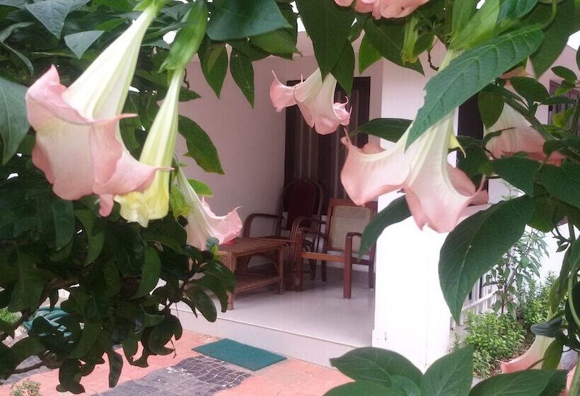 اتاق لوکس, Raja Park Beach Resort