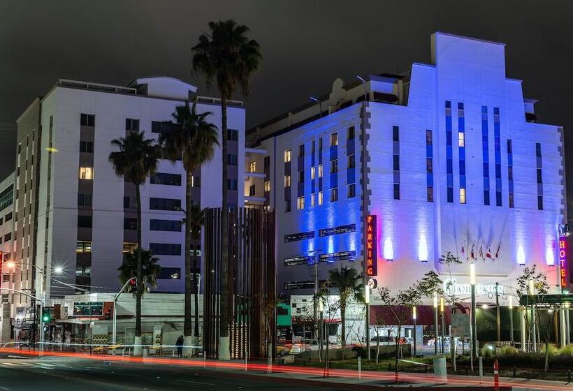 豪华套房, Ticuan