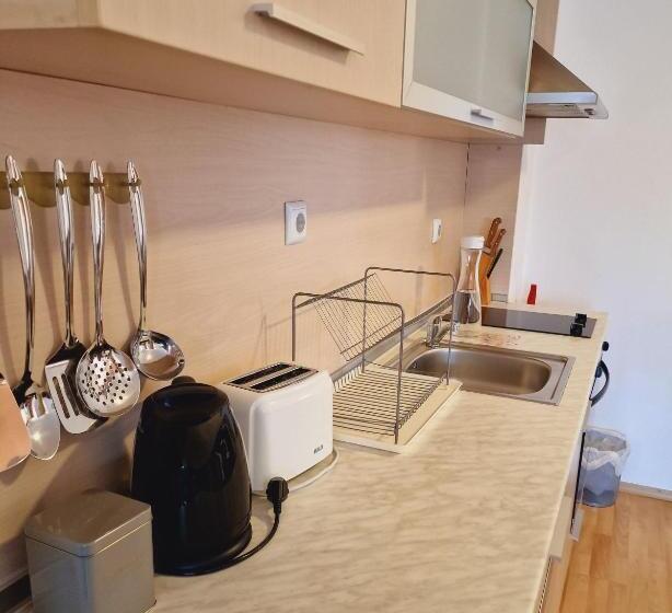 带1个卧室的豪华公寓, Pirin River Ski, Fun And Family