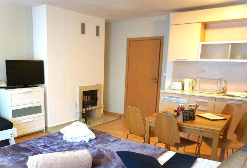 带大床的标准工作室, Pirin River Ski, Fun And Family