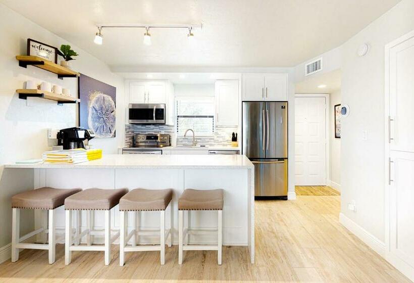 شقة غرفة واحدة, Sand Dollar