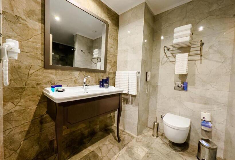 サイドオーシャンビュースタンダードルーム, The Arkin Iskele