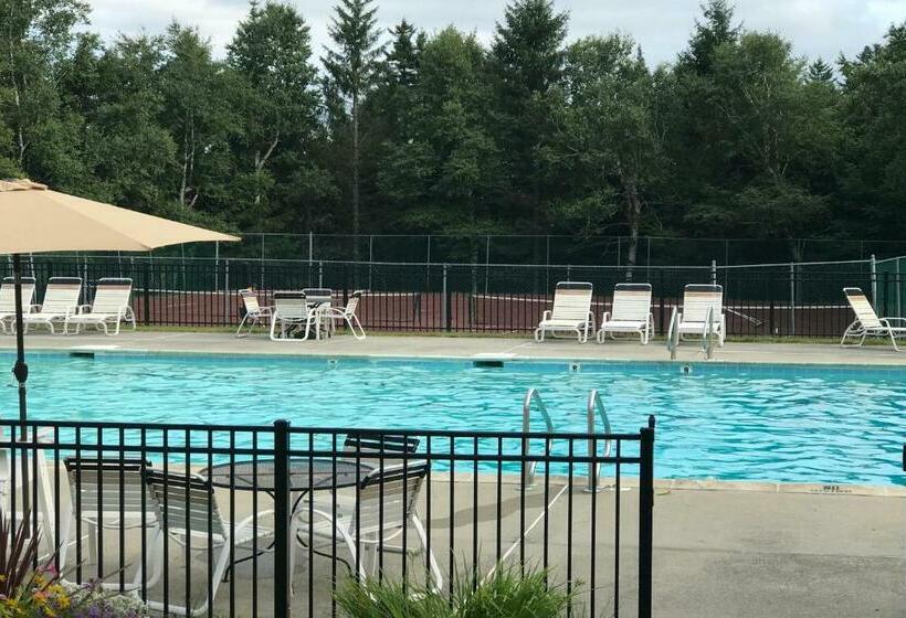 شقة غرفة واحدة, Bromley Mountain Condo