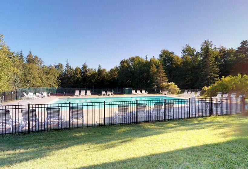 شقة غرفة واحدة, Bromley Mountain Condo