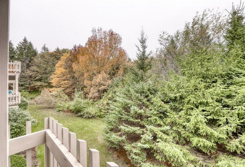 شقة غرفة واحدة, Bromley Mountain Condo