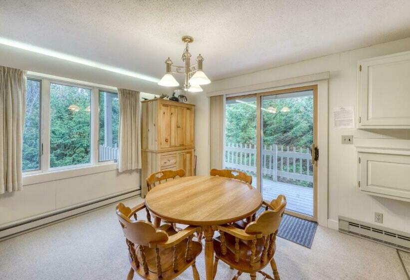Апартаменты 1 Спальня, Bromley Mountain Condo