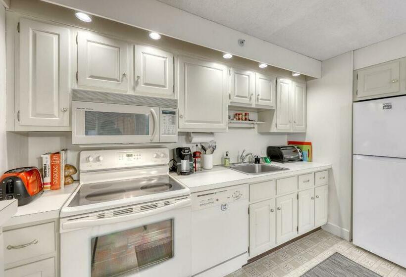 شقة غرفة واحدة, Bromley Mountain Condo