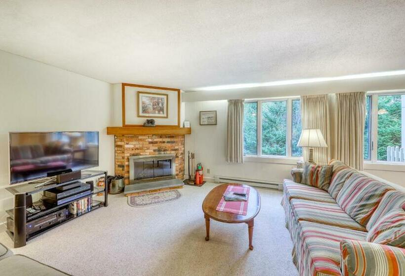 شقة غرفة واحدة, Bromley Mountain Condo