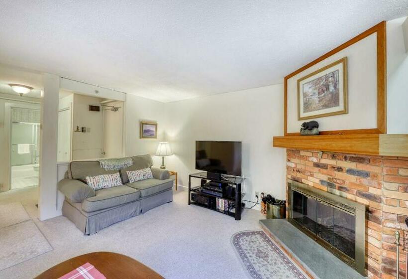 شقة غرفة واحدة, Bromley Mountain Condo