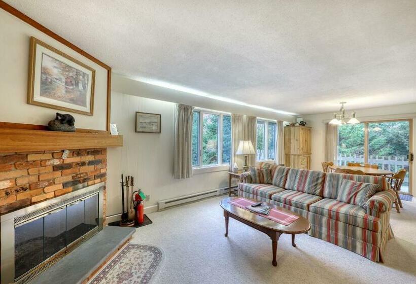 شقة غرفة واحدة, Bromley Mountain Condo