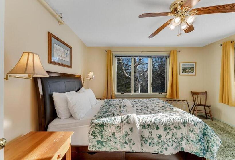 Апартаменты 1 Спальня, Bromley Mountain Condo